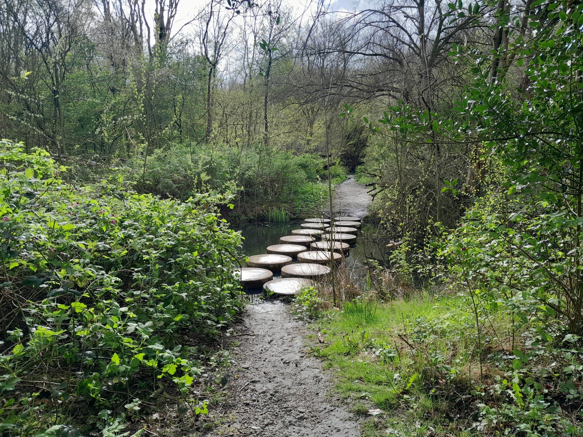 15 equal circle stones crossing the water, making a bridge to the other side